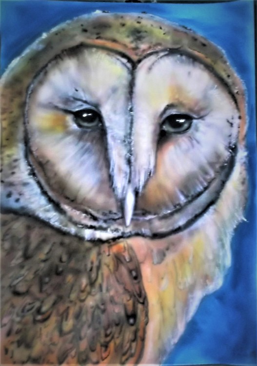 Owl  on A4  card (3)