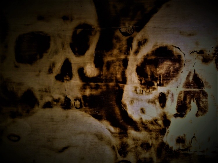 Srorched Skulls  (17)