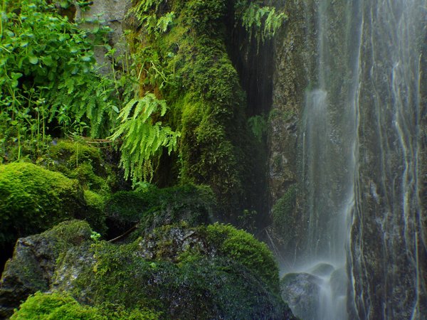 Little Hawaii Falls 2