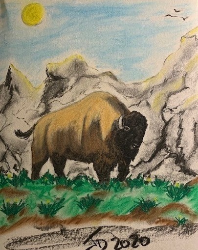 Bison Mountan 