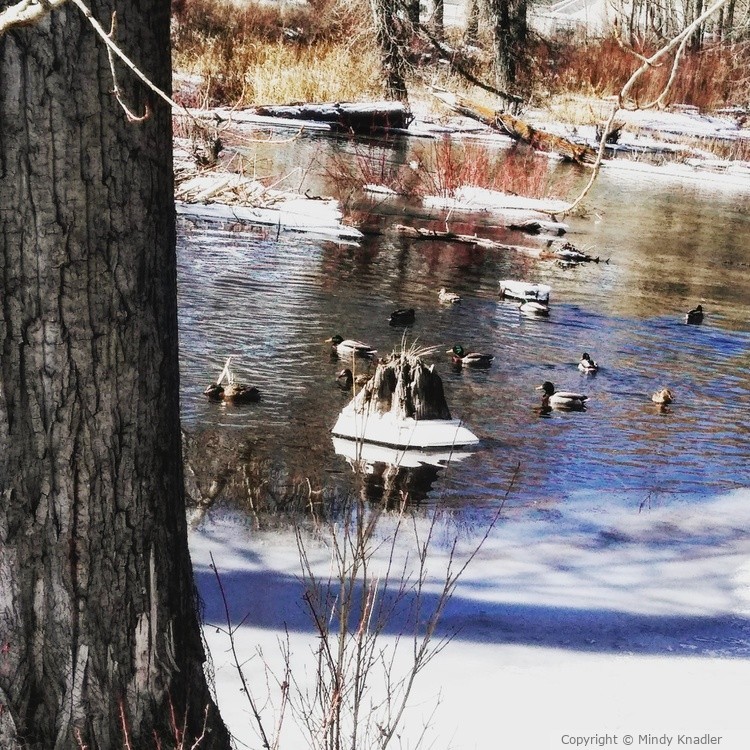 IMG 20200319 205336 729