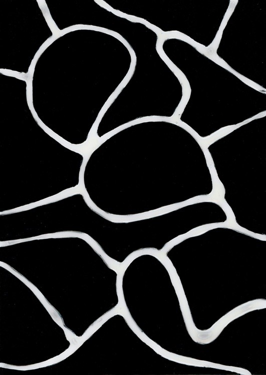 Black and White Spectrum