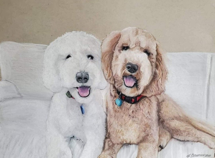 Golden doodles