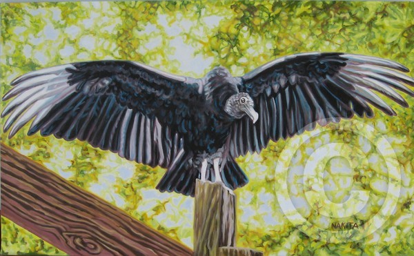 buzzard