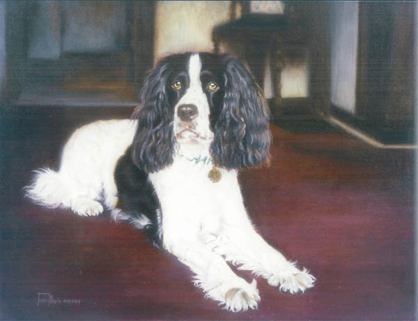 Marley, 24x20 oil on canvas