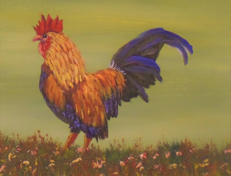 Rooster