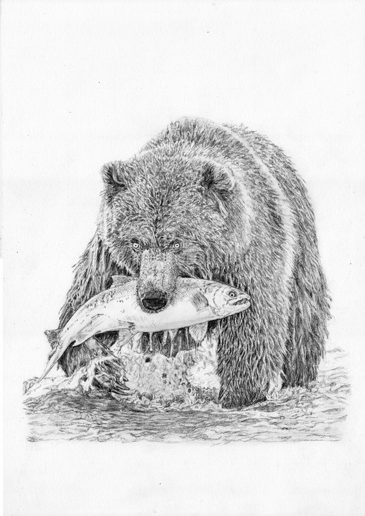 Catch of the Day