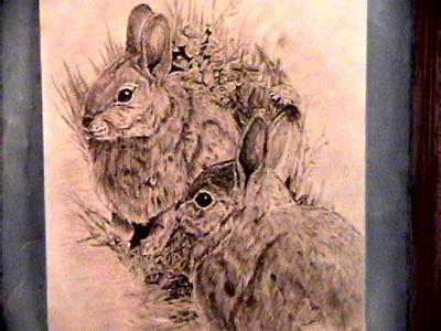 Bunnies