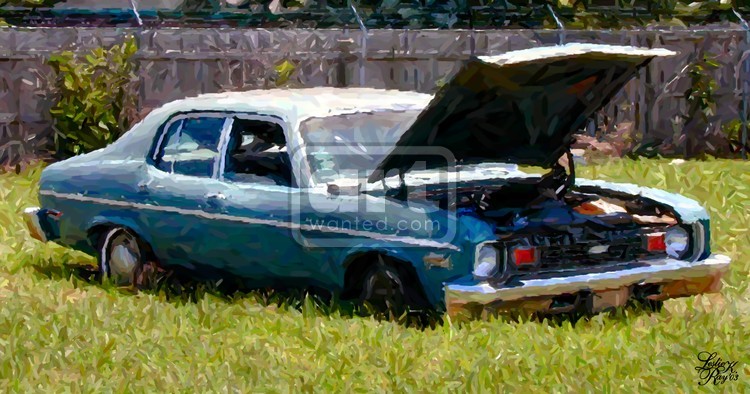 Blue Junk Car 1
