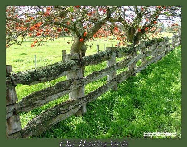 Old Holding Yards