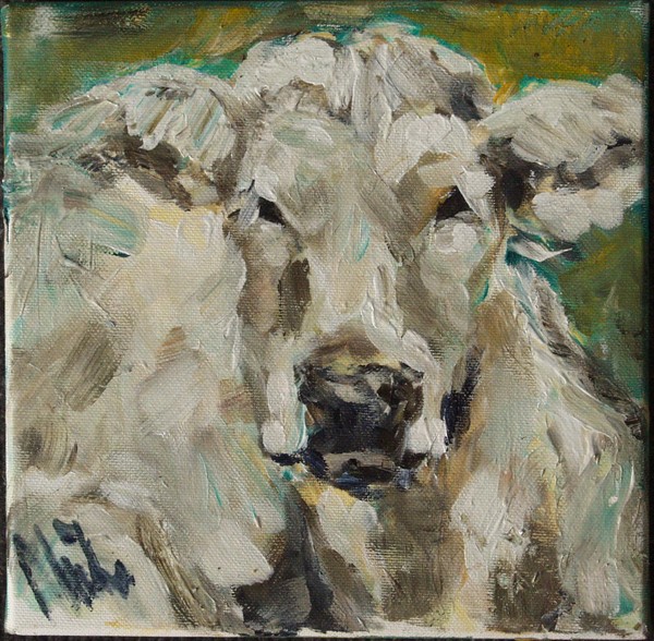 little cow