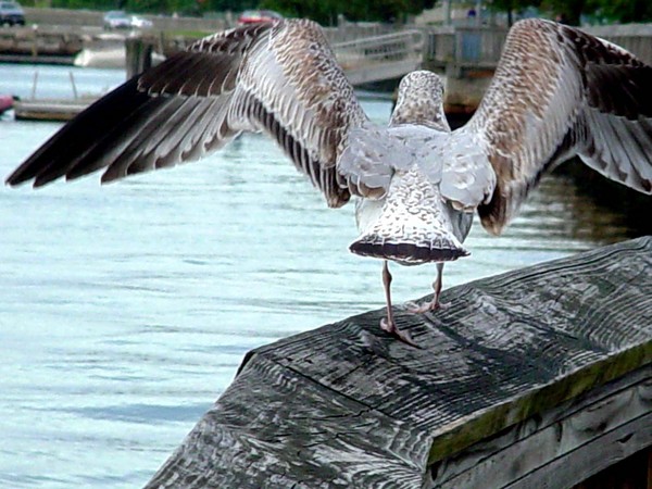 Ready for Take Off
