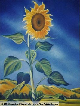 Sunflower