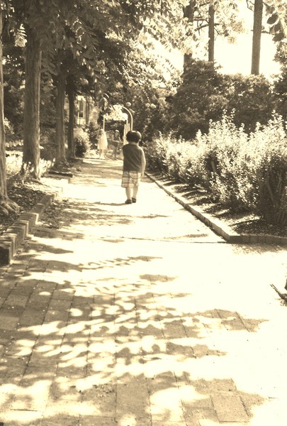 The Long Path
