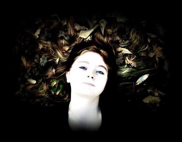 Autumn Laurel