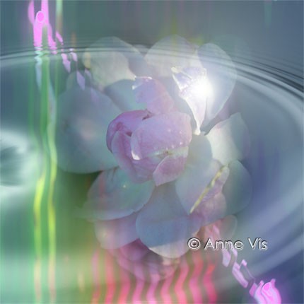 Magical Flower
