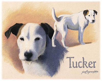 Tucker