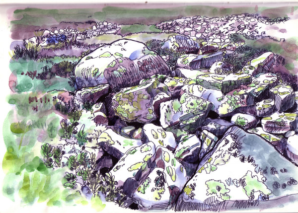 bluberry country