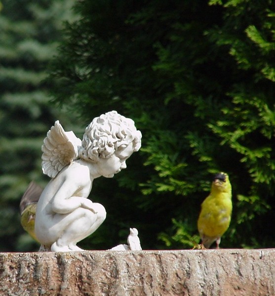 No fear of Angels