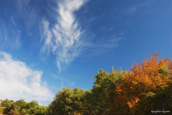 Autumn arrives