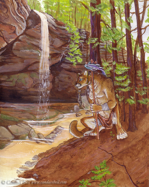 Cougar Contemplation