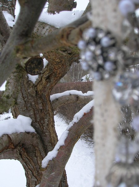 vinter