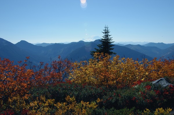 Fall Colour + a bit of Rainier