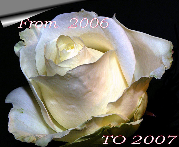 Hello 2007