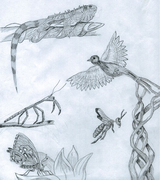 Rain forest dwellers