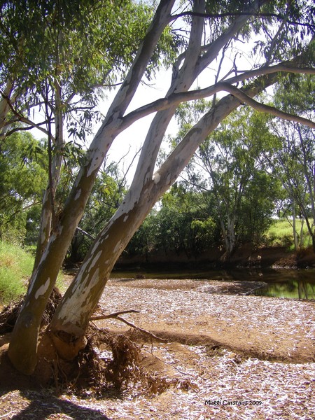 Dry River with no Water