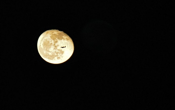 Fly Me To The Moon