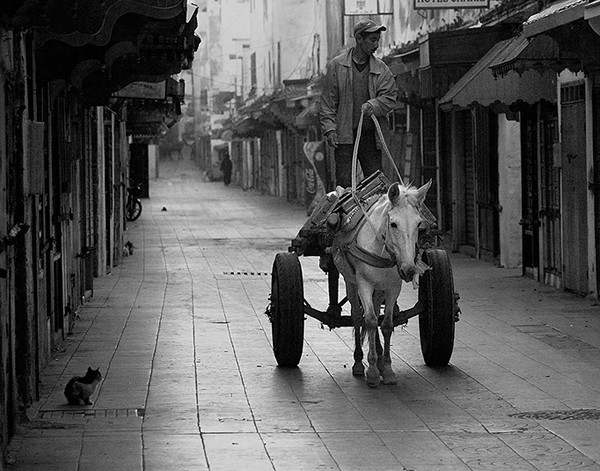 Essaouira, Early morning No.1