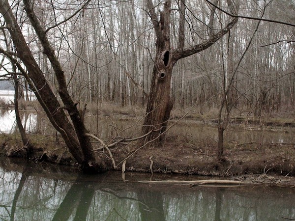 Hollow Reflections