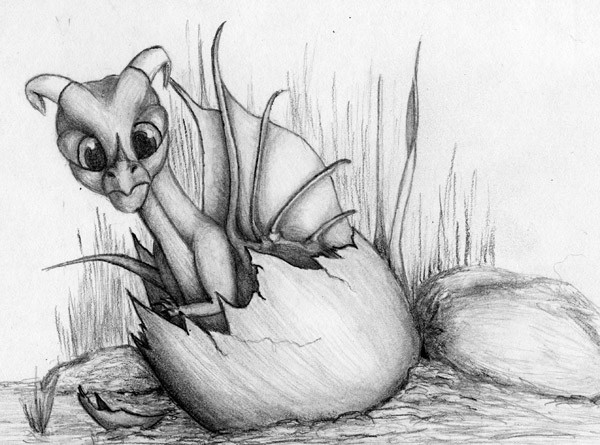 The Hatchling
