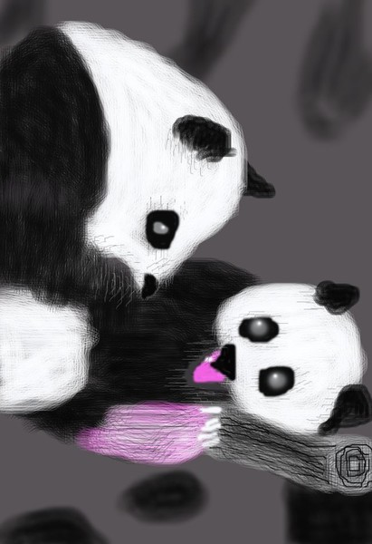 Panda Cubs Fighting O630