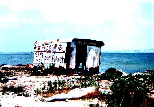 The Beach
