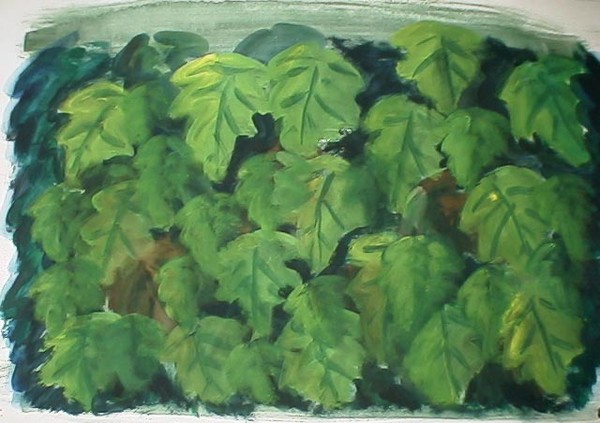 Leaves