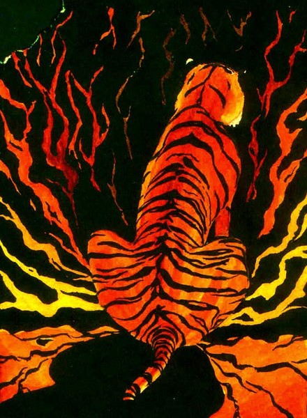tiger