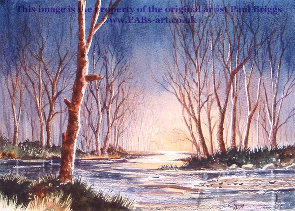 Fantasy in Nature