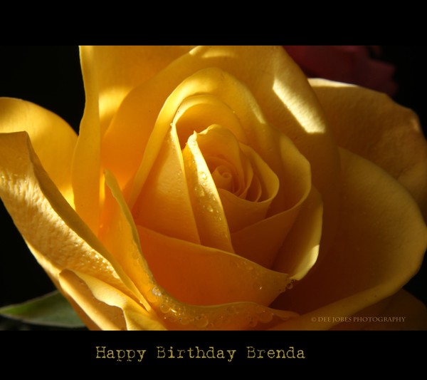 Happy Birthday Brenda