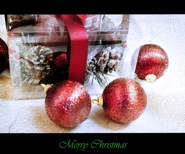 Merry Christmas