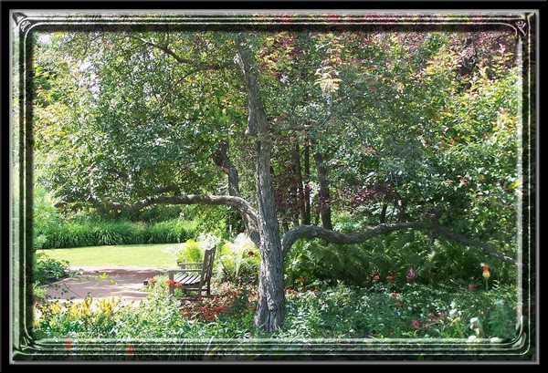 Peace in The Garden