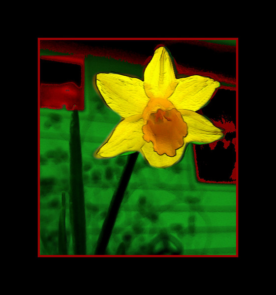 What Grows in the Night