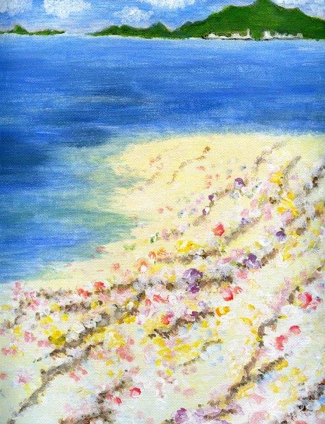 ocean & shell scene