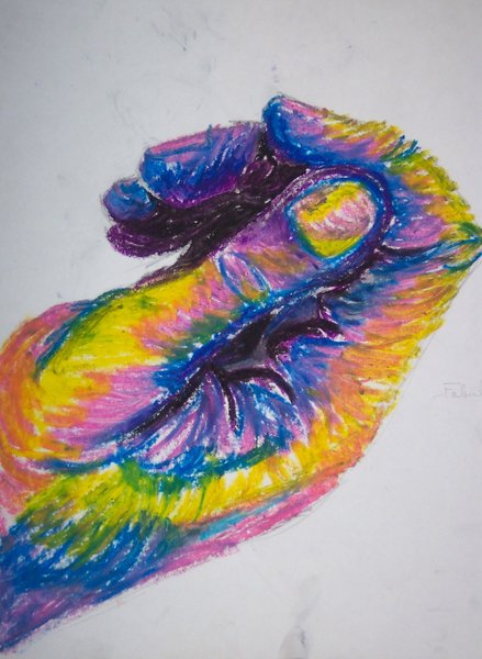 colors colors
