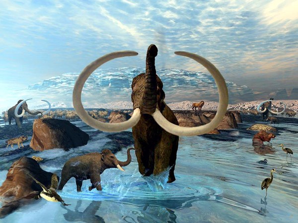 Mammoth in Ya face