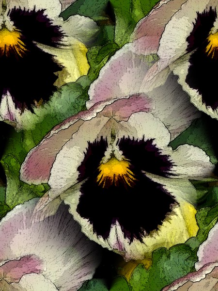 Pansies In The Park (Two)