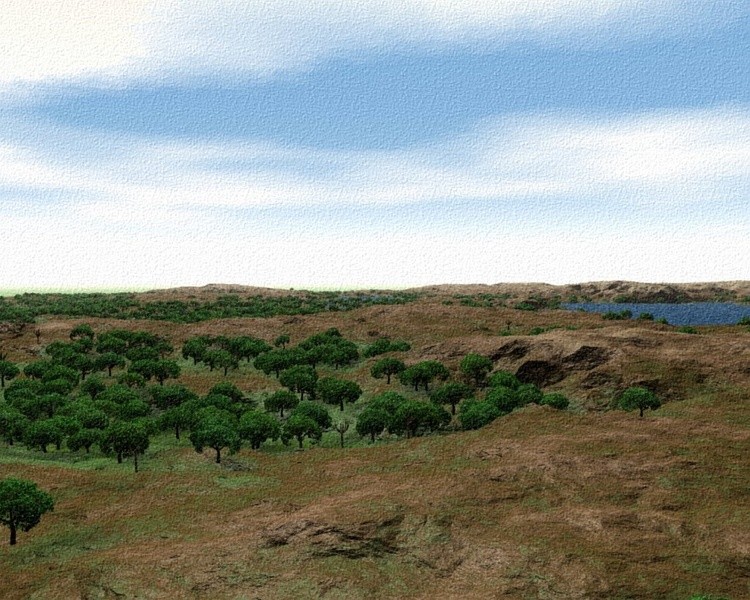 Texas Hill Country
