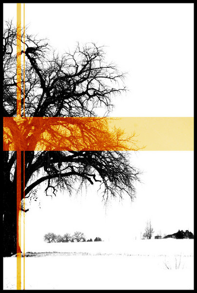 Tree in the Snow With Orange
