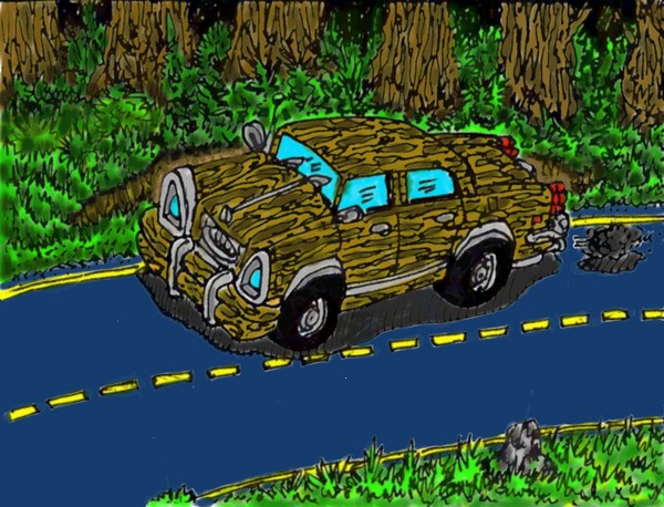 The Balsa Wood Car?